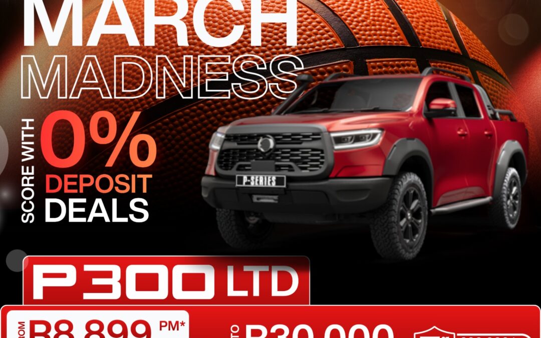 P300 LTD